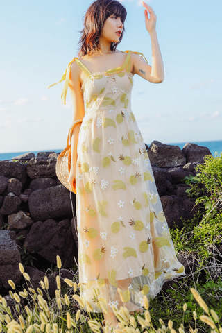 INSTOCK - Elthe Banana Pineapple Lemon Crochet Dress