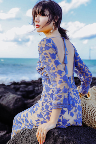 BACKORDER - Jansay Floral Embroidery Overlay Dress In Light Blue & Wine Red