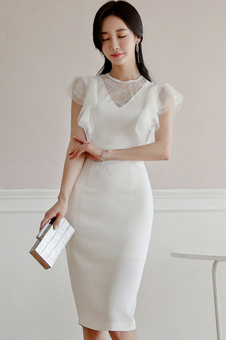 BACKORDER - Karelle Lace Mesh Dress In White