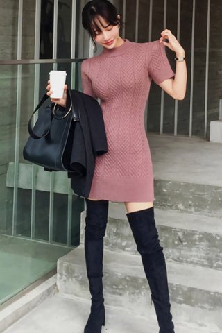 BACKORDER - Morgan Sleeve Knit Mini Dress in Dusty Pink