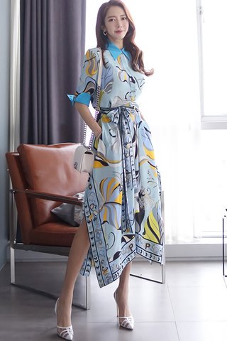BACKORDER - Jolisse Collar Abstract Print Dress