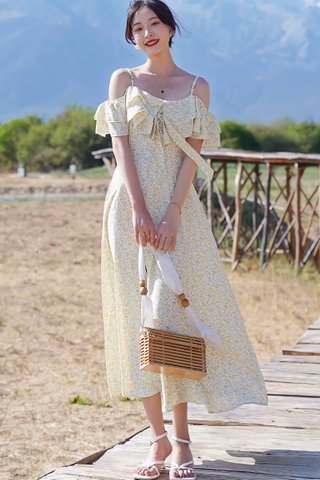 BACKORDER - Alyce Ditsy Floral Dress