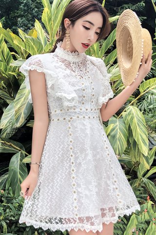 BACKORDER - Clarissa Floral Lace Overlay Dress (Mini) 