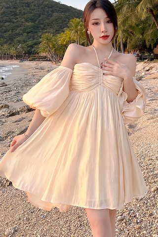 BACKORDER - Nellie Puff Sleeve Mini Dress